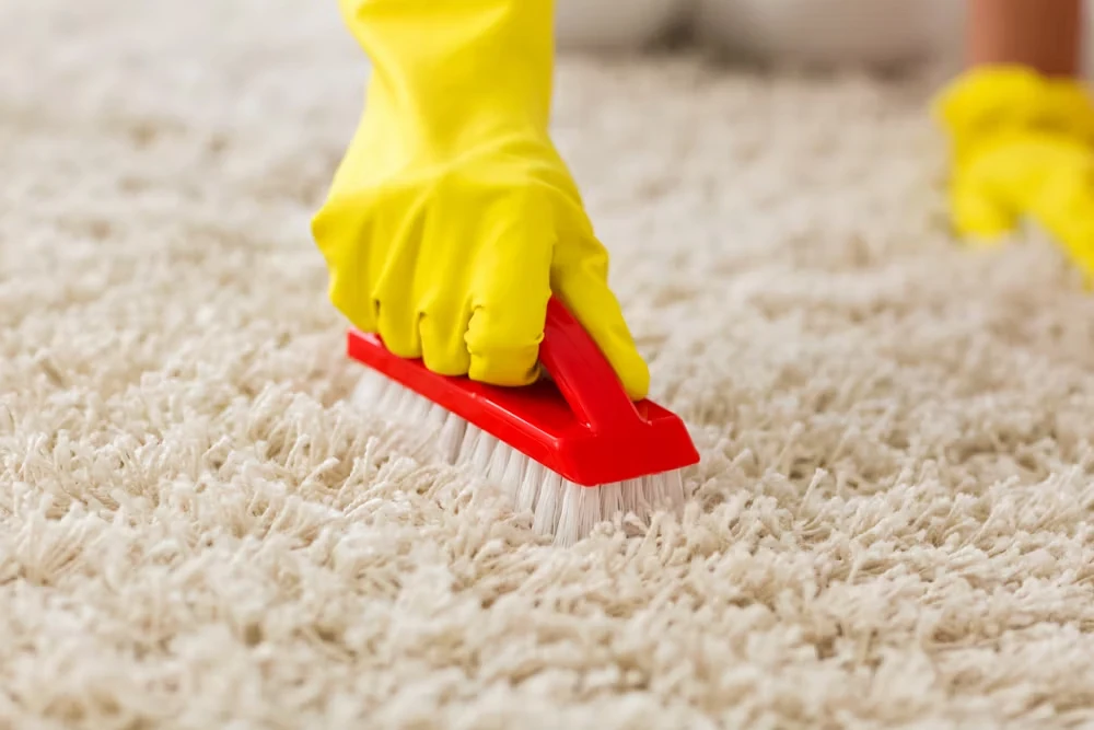روش پاک کردن لکه هندوانه از روی فرش