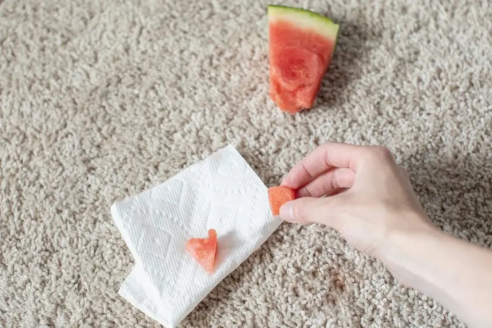 پاک کردن لکه هندوانه از روی فرش